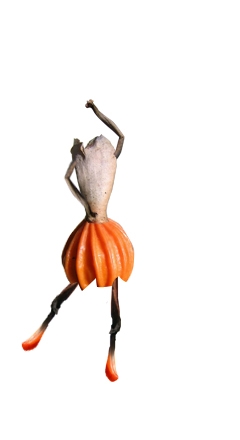 Creation of Seed Dance: Step 7